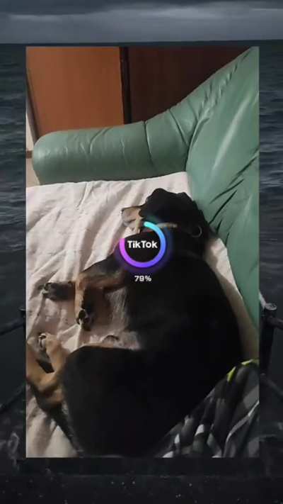 Dog🥵