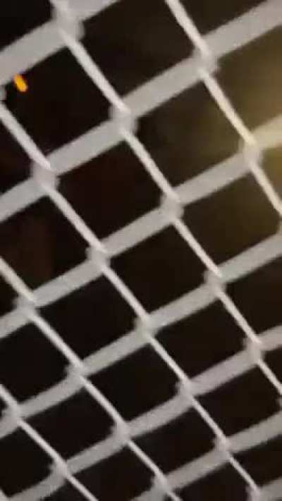 Twerking on a substation 