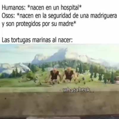 Jaja no termine el dibujo ni la tarea