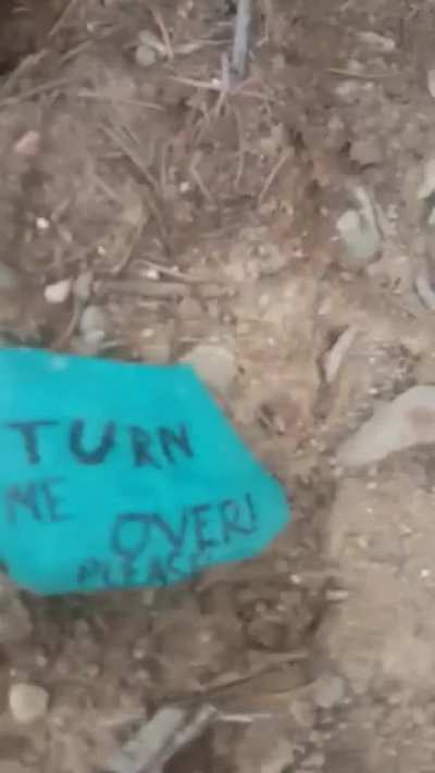 An interesting rock...