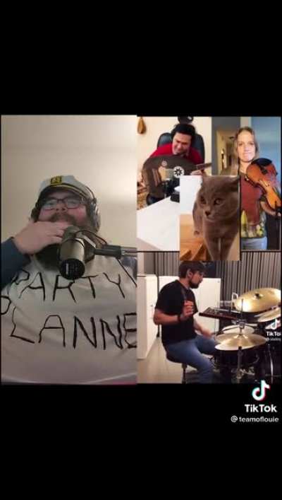 Turning a weird cat noise into music