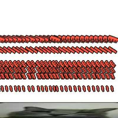 the invasion