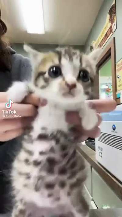 :D