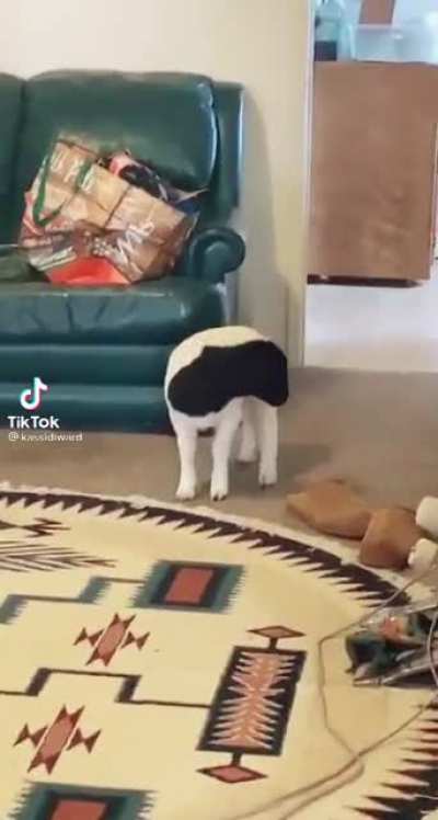 &ldquo;What are you doing in the house?&rdquo;