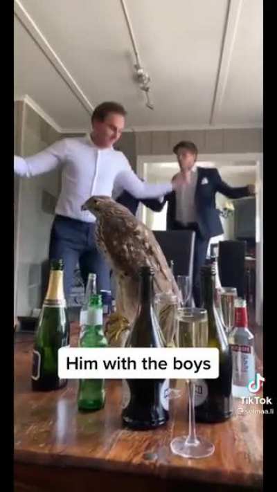 Guys being dudes