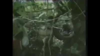 Last publicly known snippet of a French ECPAD documentary showing Karen rebels fighting against the SPDC junta in Burma (Myan<wbr>mar)-<wbr>Septe<wbr>mber 1988