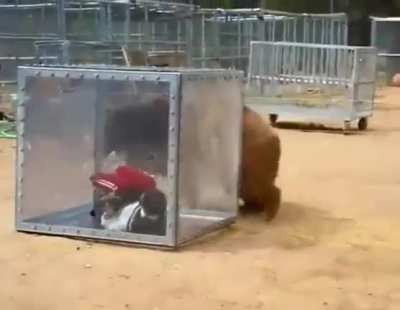 Да как открывается эта консерва?