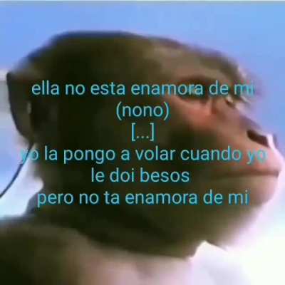 Don Miguelo