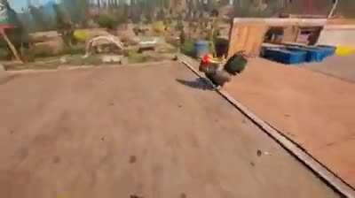 Poor chicken