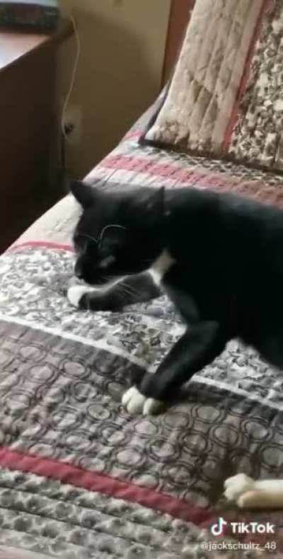 &ldquo;AaaaAa&acirc;aaa&rdquo;