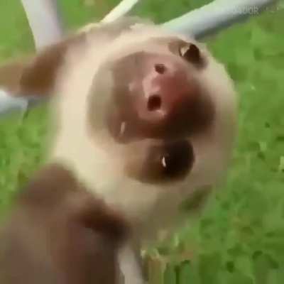 A-