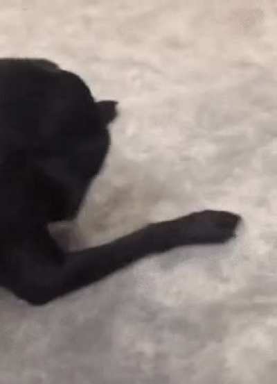 &ldquo;Where&rsquo;d my ball go?!&rdquo;