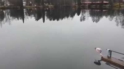 Very impressive dive
