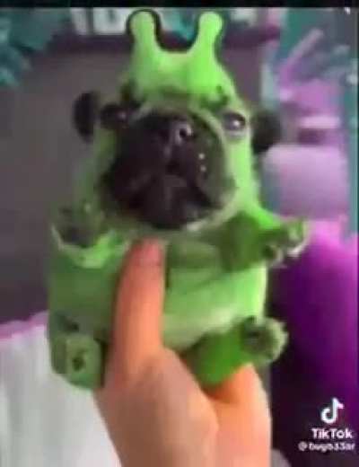 Moldy alien doggos