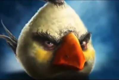 angry bird