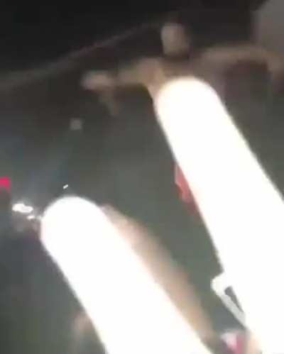 Pepepains vixi
