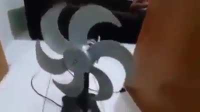 Explica vai quere v&ecirc;