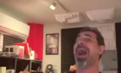 &ldquo;System might play some new songs in 2020!&rdquo; Serj:
