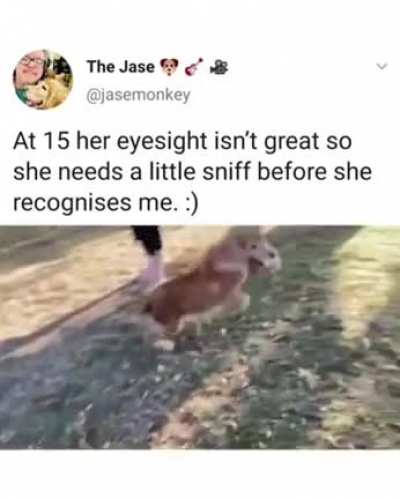 I&rsquo;m not crying, you are