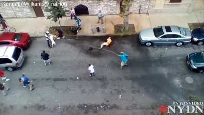 Pitbulls claim another victim in the Bronx