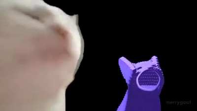 I remember Jacksepticeye saying he likes these GameCube memes so...