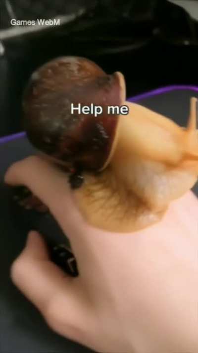 HELP