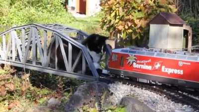 to stop the train