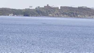 Lake Champlain Oddity