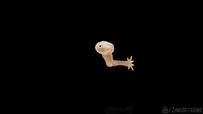 Przyjacielskie przypomnienie ( ͡&deg; ͜ʖ ͡&deg;)