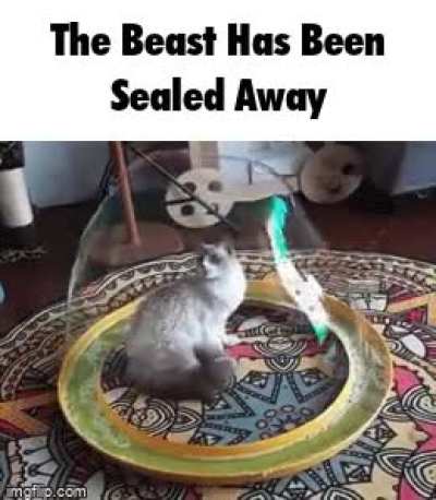the wunk has been sealed away