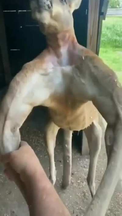 uyuyuyuy