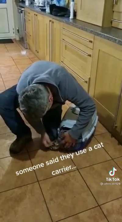 To put the ferrets in the carrier
