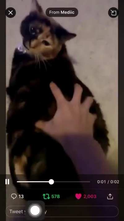 Big chunk