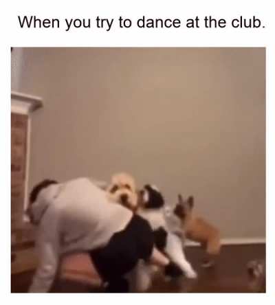Easy, there fellas.