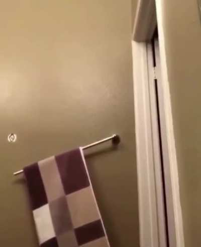 The transition from Chromatica II into 911 but it’s this guy’s towel falling off. 😍🍆🥵