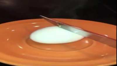 egg