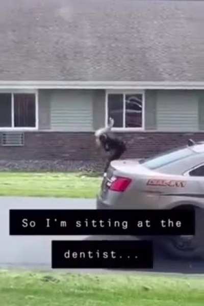 Chad catches dinner
