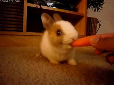 it's snack time!