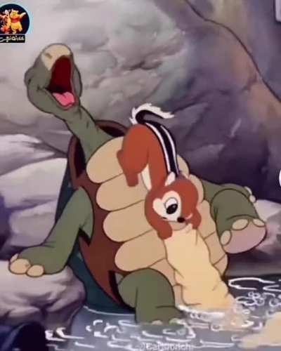 What a happy turtle
