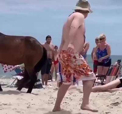 WCGW touching a random wild horse.