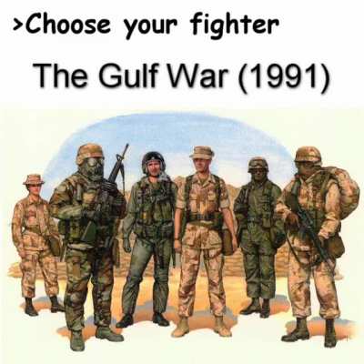 Choose your fighter