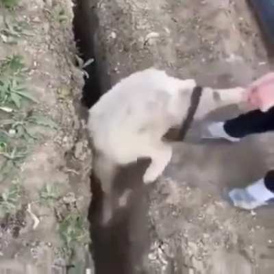 Maybe maybe maybe