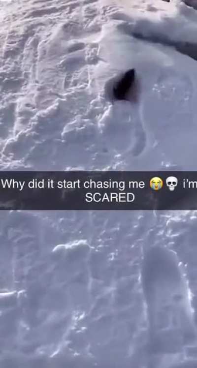 Where did it even come from?
