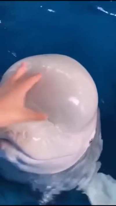 Doesn&rsquo;t that hurt?