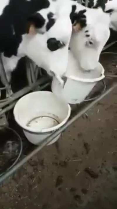 Its mine now