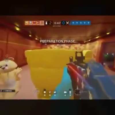 Mr. Bear has fallen