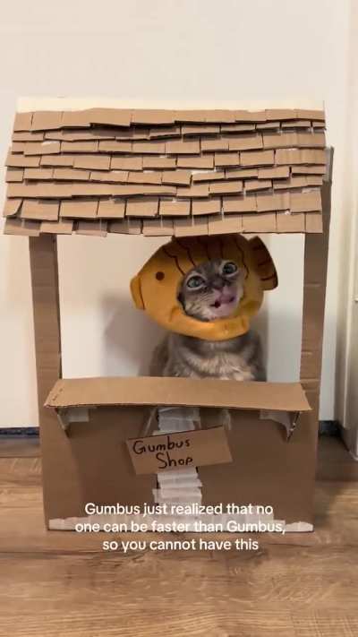 Welcome to the Gumbus Shop