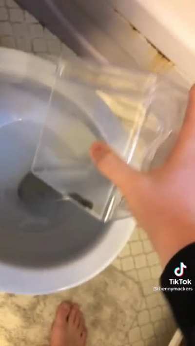 NoOoOoOooo