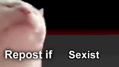 Upvote si eres un verdadero...