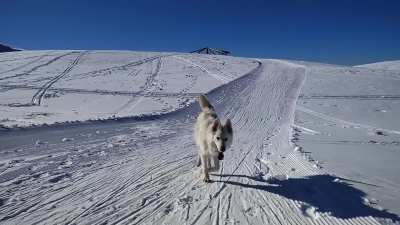 Alma and her first time on the snow